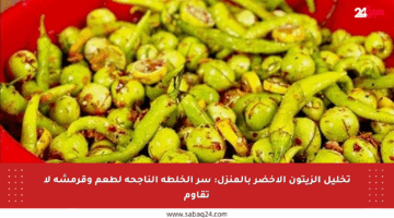 تخليل الزيتون الأخضر بالمنزل: سر الخلطة الناجحة لطعم وقرمشة لا تقاوم